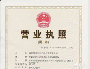 專利申請與商標(biāo)申請 保護(hù)知識(shí)產(chǎn)權(quán)的關(guān)鍵步驟