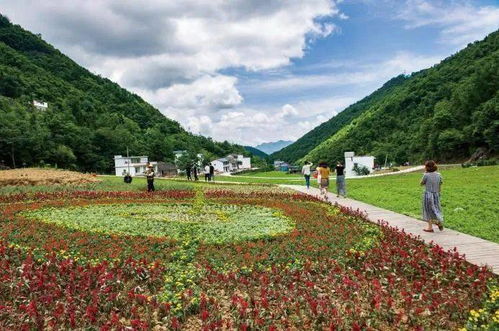 又到紅葉爛漫時 13條精品線路與露營地服務(wù)全指南